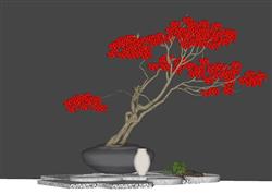 映山红杜鹃花盆栽