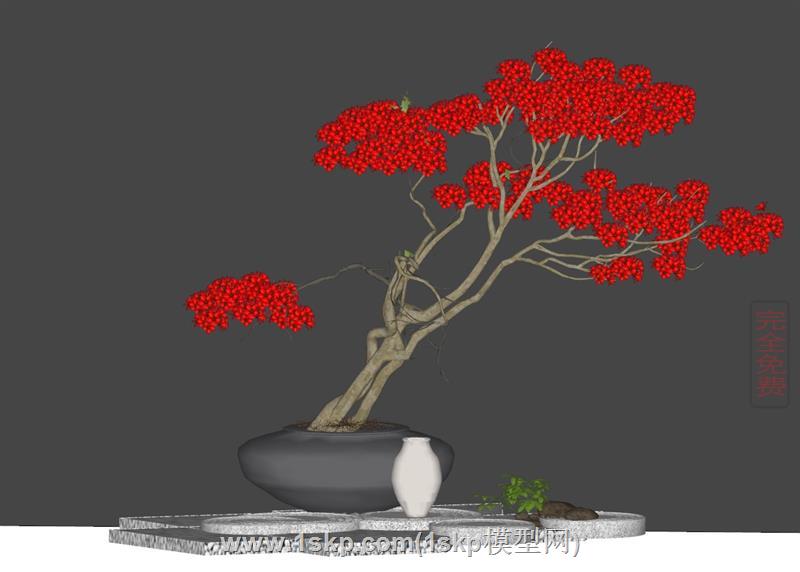 映山红杜鹃花盆栽