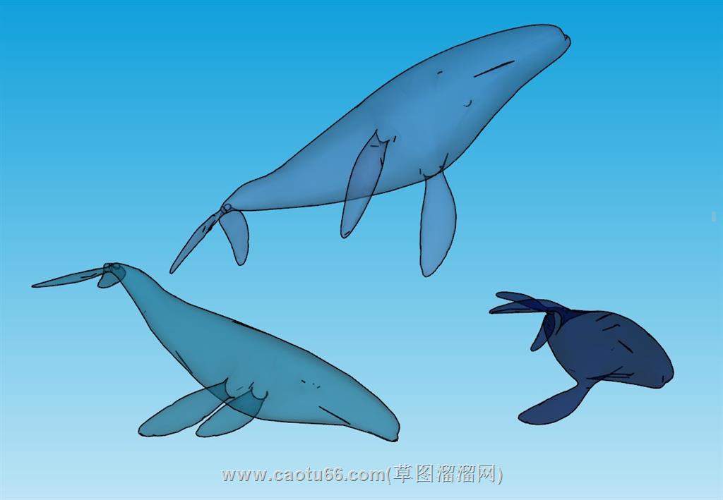 透明鲸鱼雕塑SU模型