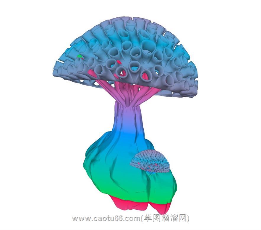 珊瑚景观雕塑SU模型