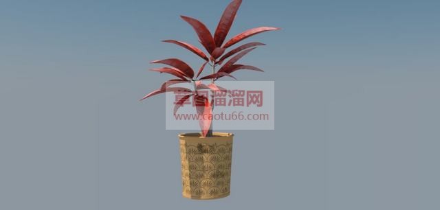 花瓶摆件SU模型