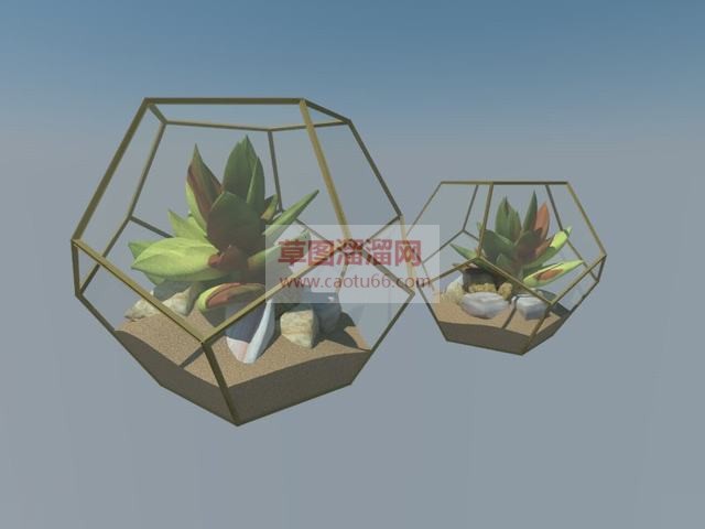 多肉植物摆件SU模型