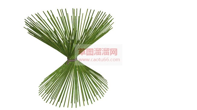 兰草装饰的SU模型