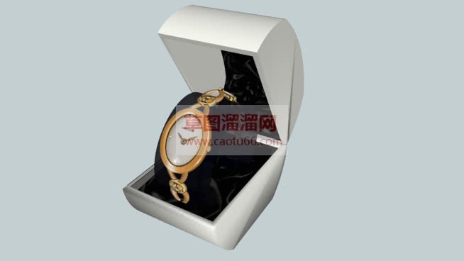 手表装饰盒草SU模型