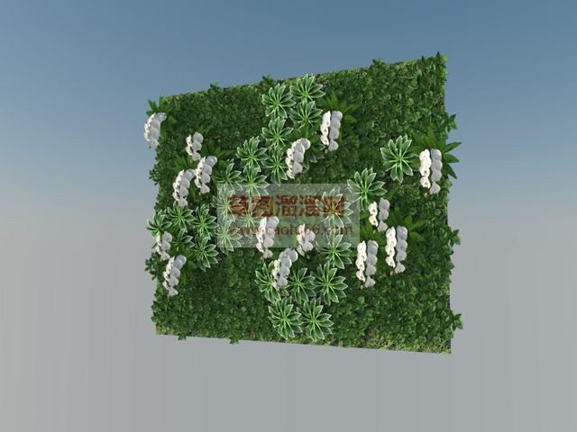 绿植墙+植物SU模型
