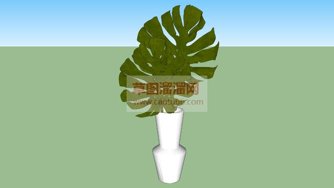 花瓶里的龟背SU模型