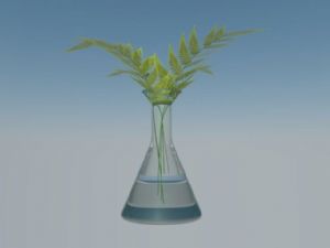 精美的玻璃花SU模型