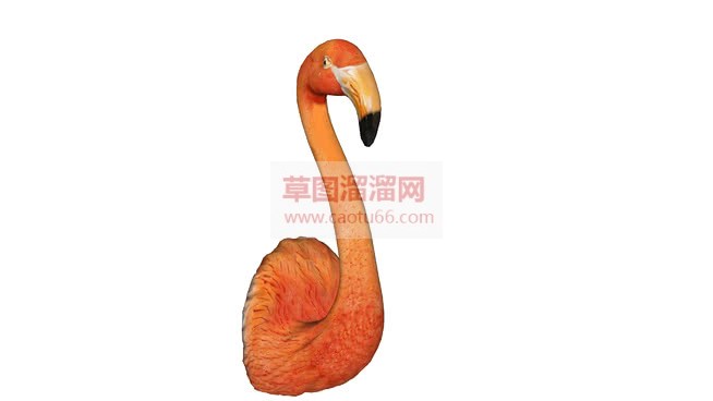 免费火烈鸟装SU模型