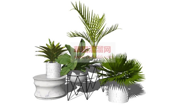 花盆摆件陈设SU模型