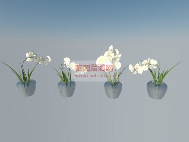 玻璃花瓶免费SU模型