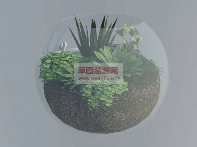 圆形玻璃花盆SU模型