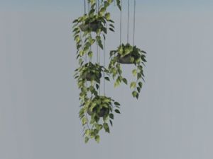 吊篮装饰植物SU模型