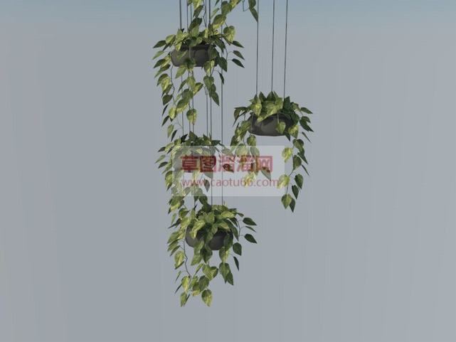 吊篮装饰植物SU模型
