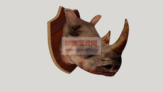 犀牛头墙装饰SU模型