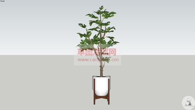 室内花盆植物SU模型