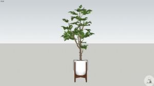 室内花盆植物SU模型