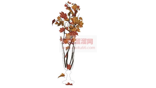 枫叶插花玻璃SU模型