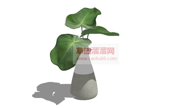 玻璃花瓶SU模型