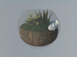 装饰圆形玻璃SU模型