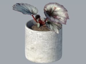 花瓶花盆植物SU模型