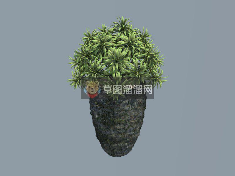 植物花盆库SU模型