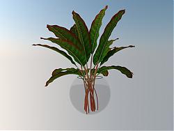 玻璃花瓶植物SU模型