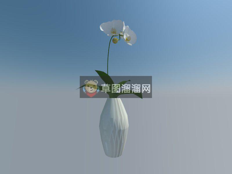 装饰小花瓶SU模型