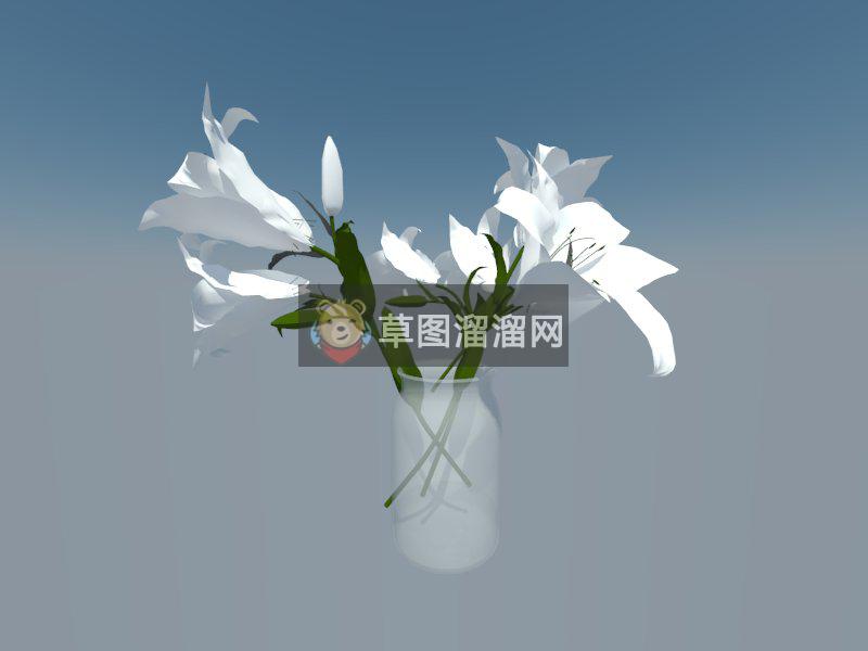 白百合白花花瓶SU模型