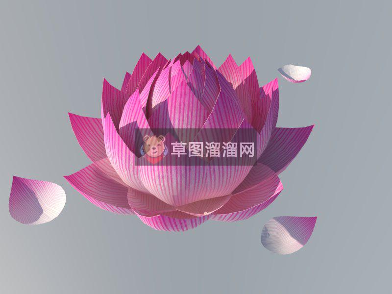 荷花花瓣装饰品SU模型