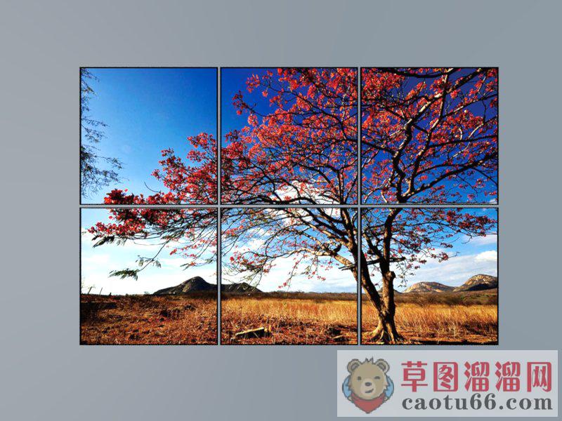 装饰画照片墙SU模型