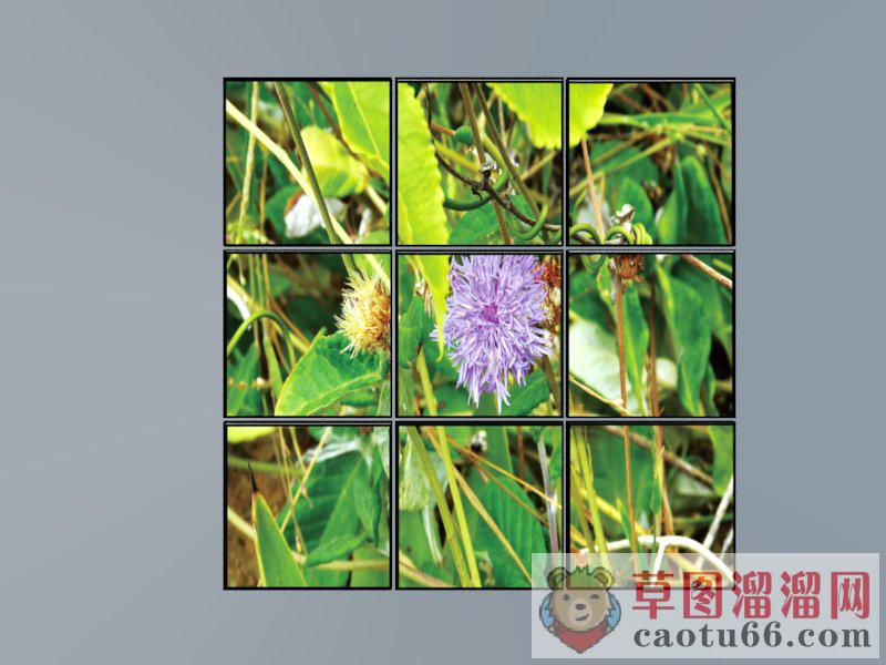照片墙墙画SU模型