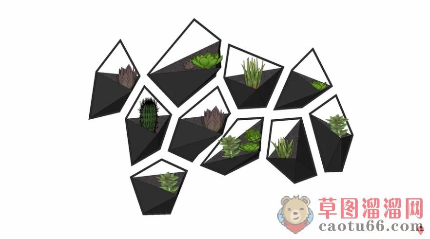 照片墙多肉植物SU模型