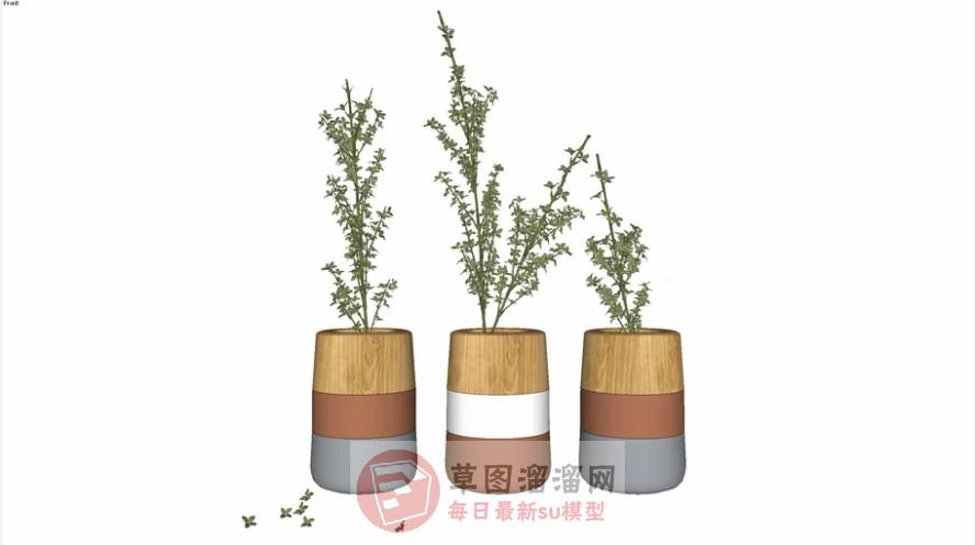 木质装饰花瓶SU模型
