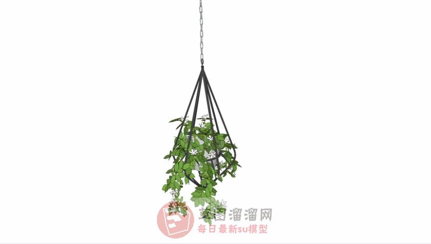 吊篮装饰植物SU模型