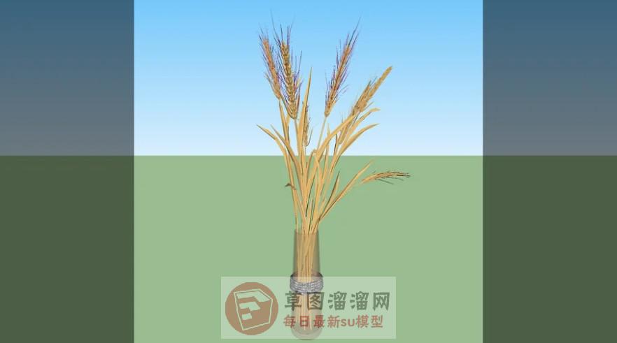 稻谷花瓶SU模型