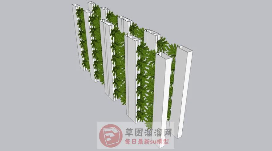 墙装饰植物SU模型