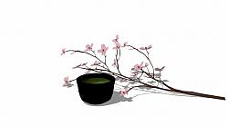 插花樱花桃花SU模型