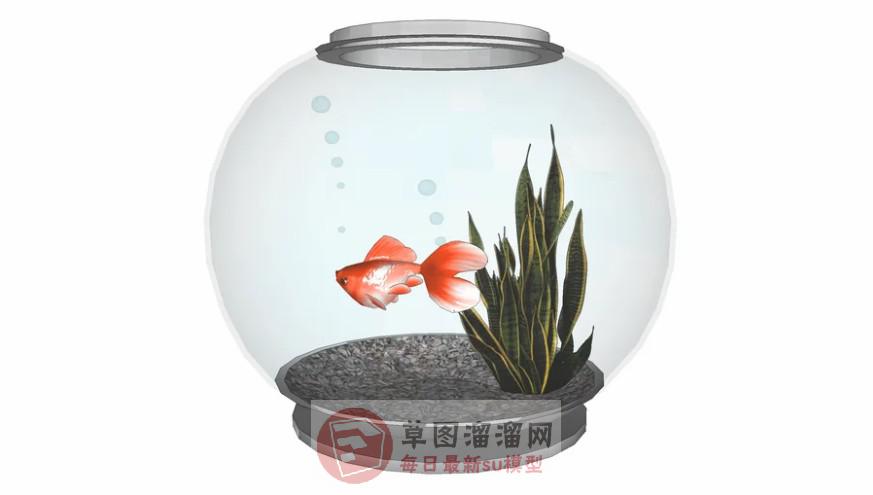 金鱼缸圆形玻璃SU模型