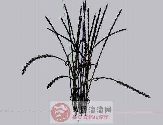 稻麦装饰品SU模型