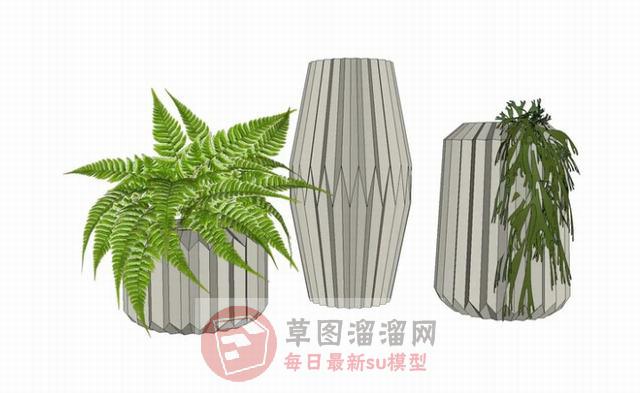 花瓶植物SU模型