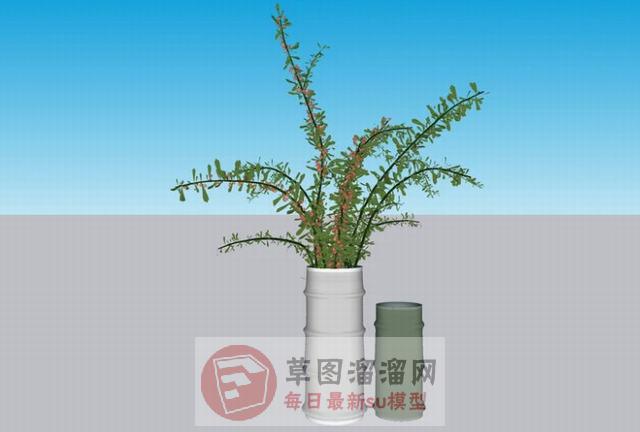 装饰花瓶植物SU模型