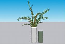 装饰花瓶植物SU模型