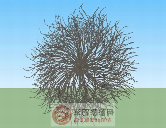 枝形花圈装饰品SU模型