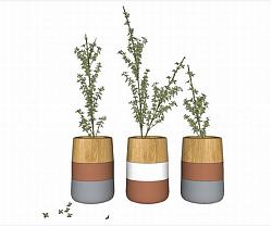装饰花瓶摆件品SU模型