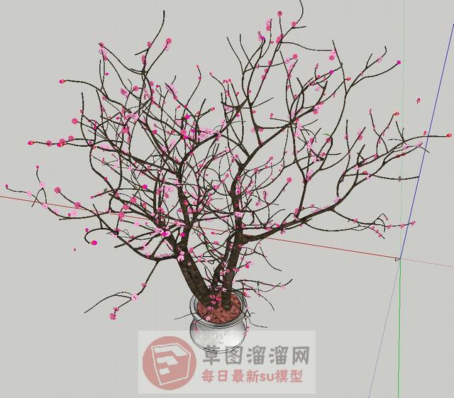 桃花插花花瓶SU模型