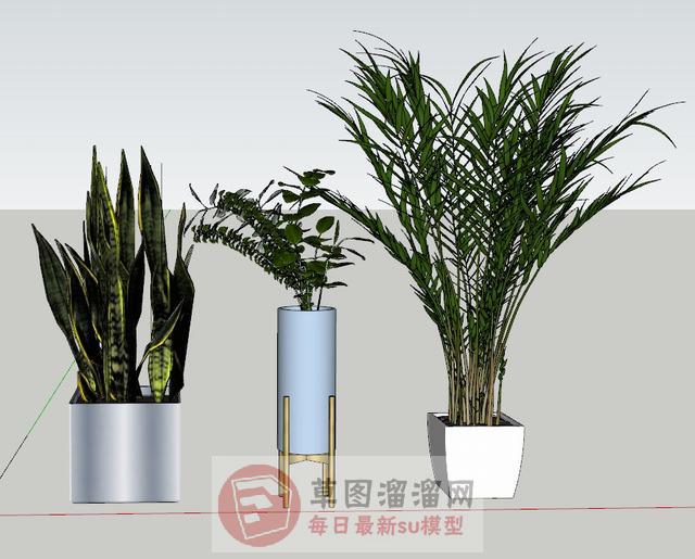 室内花瓶花盆SU模型