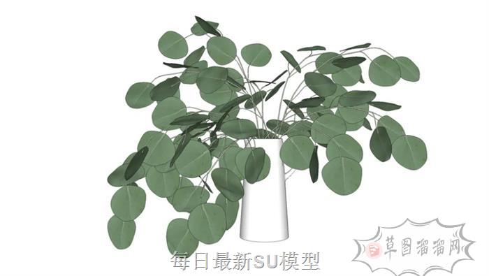 绿叶花瓶装饰SU模型