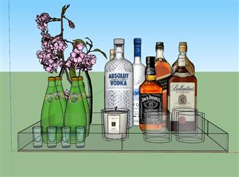 装饰酒瓶花瓶SU模型