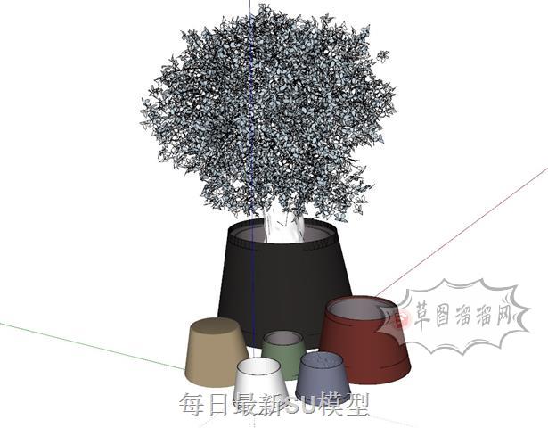 花盆花瓶植物SU模型
