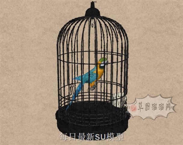 鸟笼小鸟鸟SU模型